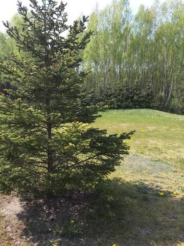 Фото номера Семейный номер с видом на озеро Гостевой дом Lini Guest House г. Ница 4